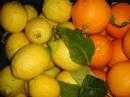 Citron & Orange de SICILE non traité.